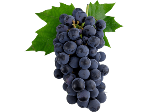 Grape Collection