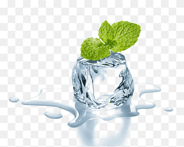 Mint Collection